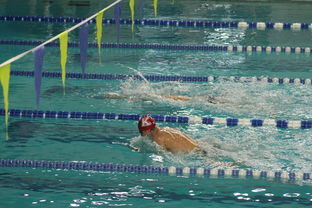 开运体育电脑版-全国公开水域游泳赛长江赛段人气爆棚