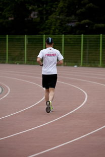开运体育电脑版-高校运动训练效果科学评估研究，运动训练高校排名