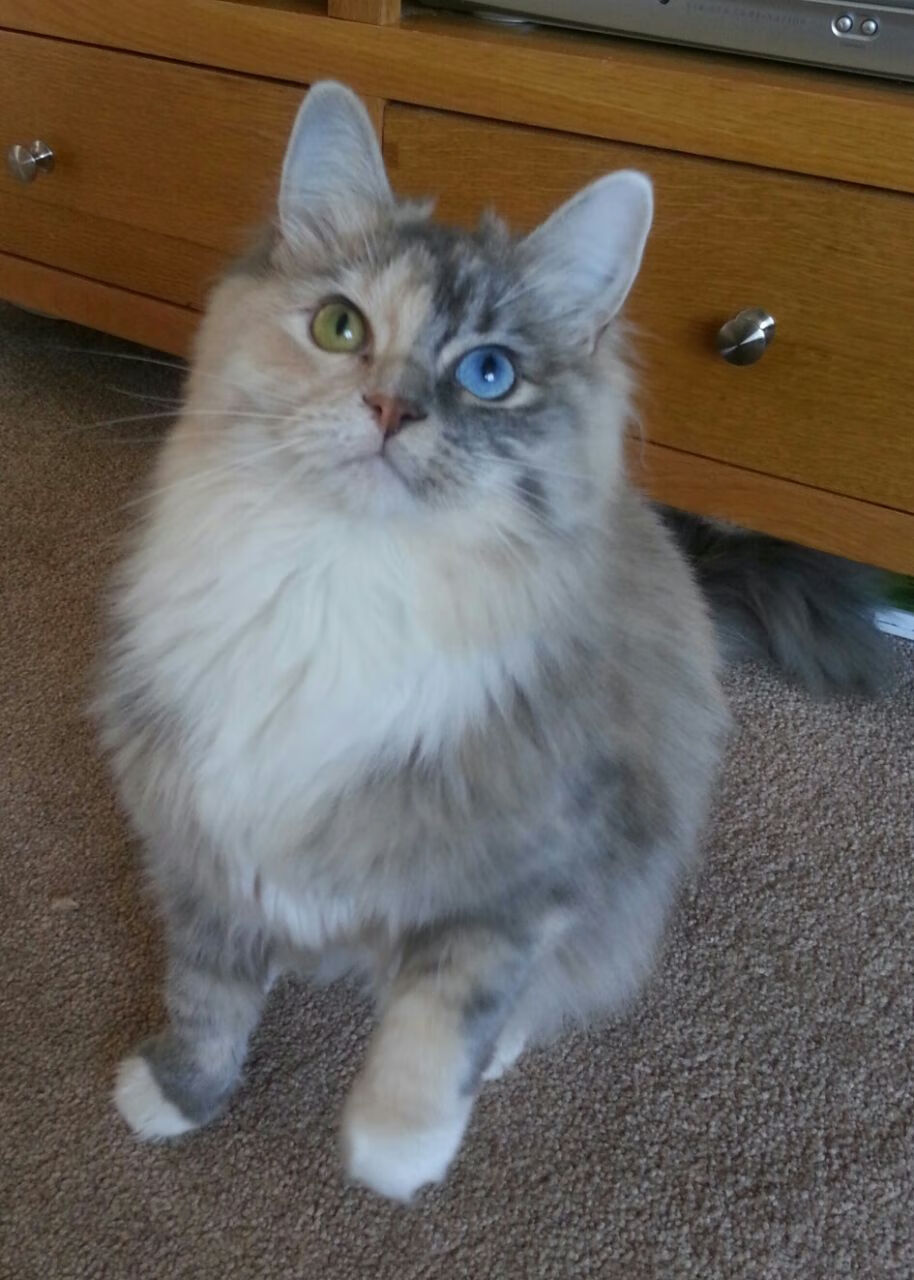 开云ky官网-体育新闻中心构建体育创作内容质量评估体系，体育新闻评论的结构