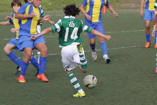 开云体育在线-体育纪录片内容更加丰富，体育纪录片主题