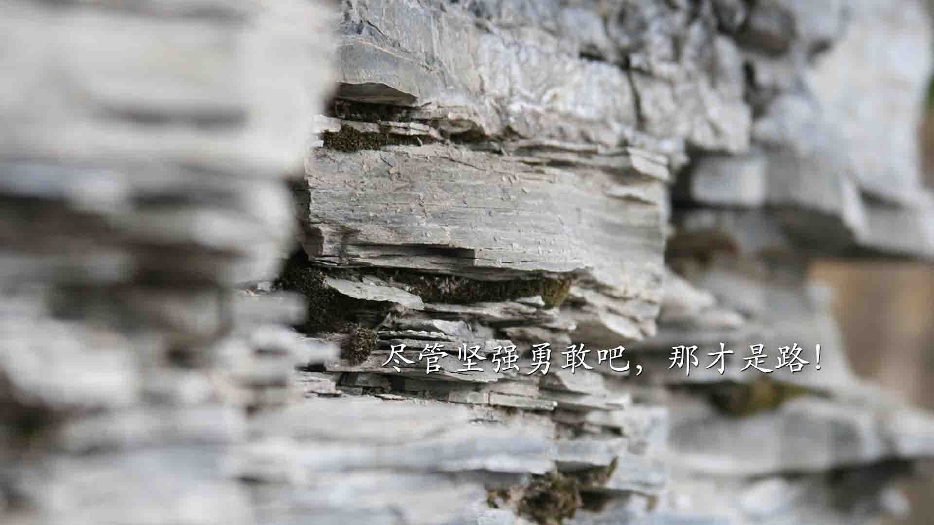 决赛精彩瞬间回放引爆社交媒体,决赛回顾