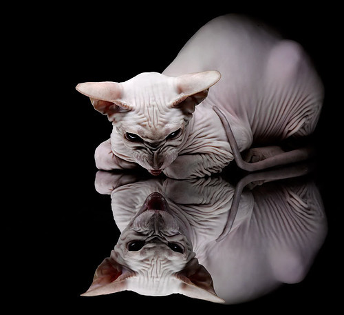 开云ky官网-利物浦中后场衔接流畅助力前场创造，利物浦的中场球员