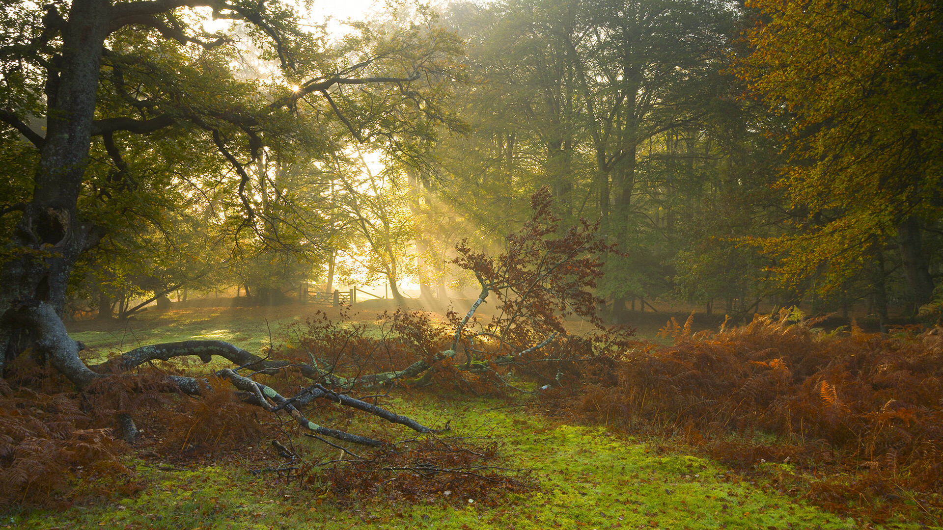 杜兰特重返赛场篮网重新定义未来,杜兰特篮网首秀