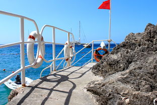 开yun官网-海湾者未来青训体系逐渐完善，海湾技术