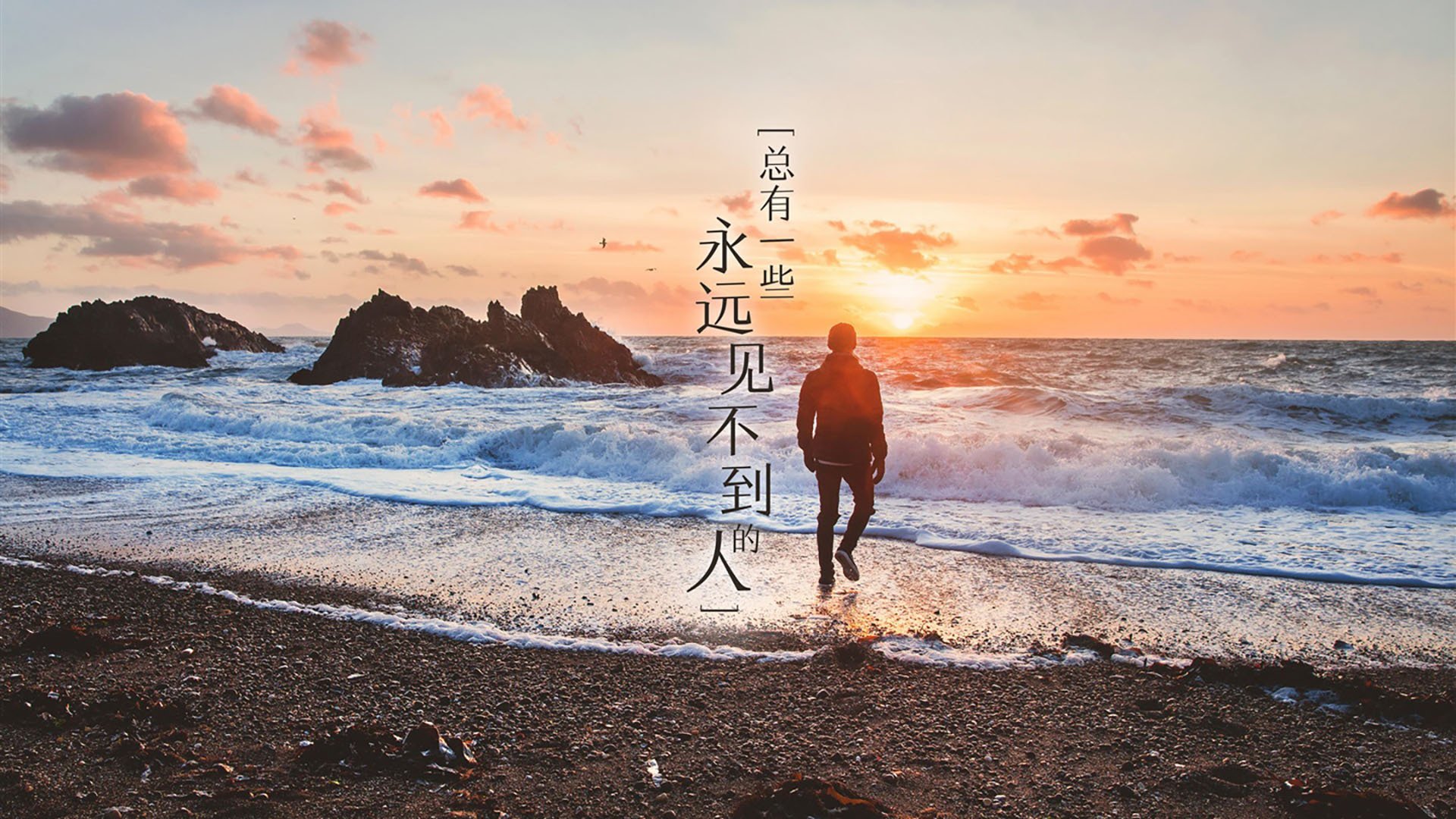 男子蛙泳前25米分段表现差距明显,男子蛙泳100m