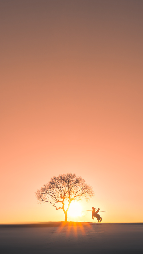 冬季运动会筹备启动 冰雪项目受关注,冬季运动会滑冰