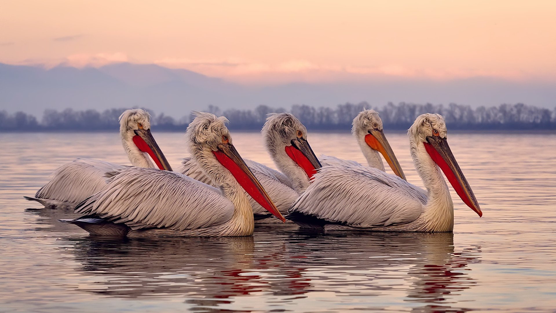 开云体育官网下载-国足备战亚预赛集训时间确定，国足亚预赛出线