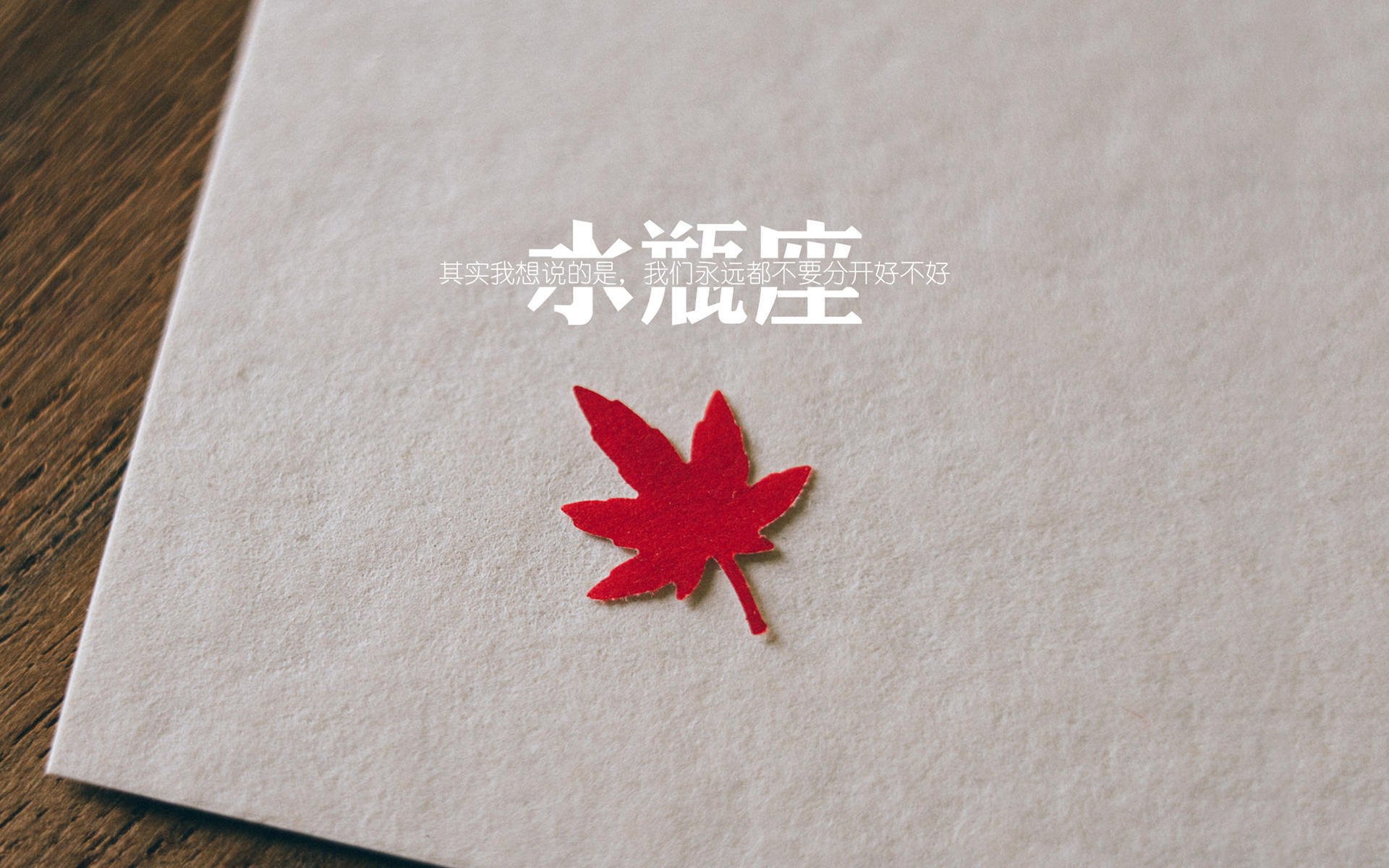 女子国家队更新战术板示意系统提升可视化效率,女子国家队名单