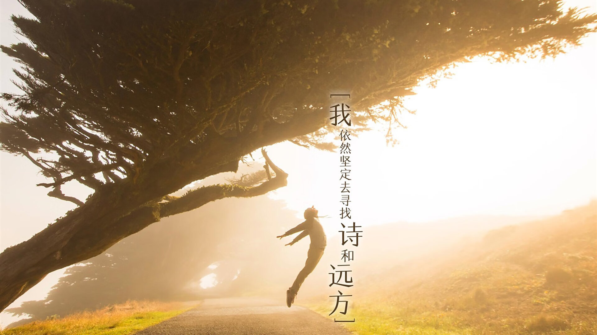 希腊女篮在欧洲锦标赛中再夺佳绩，传承辉煌英雄魂，希腊女球迷