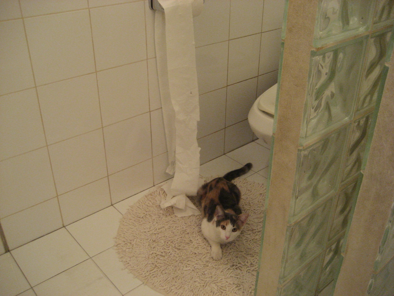 替补球员关键投篮改变赛事走向,深度轮换成赛季关键词,篮球替补很差吗