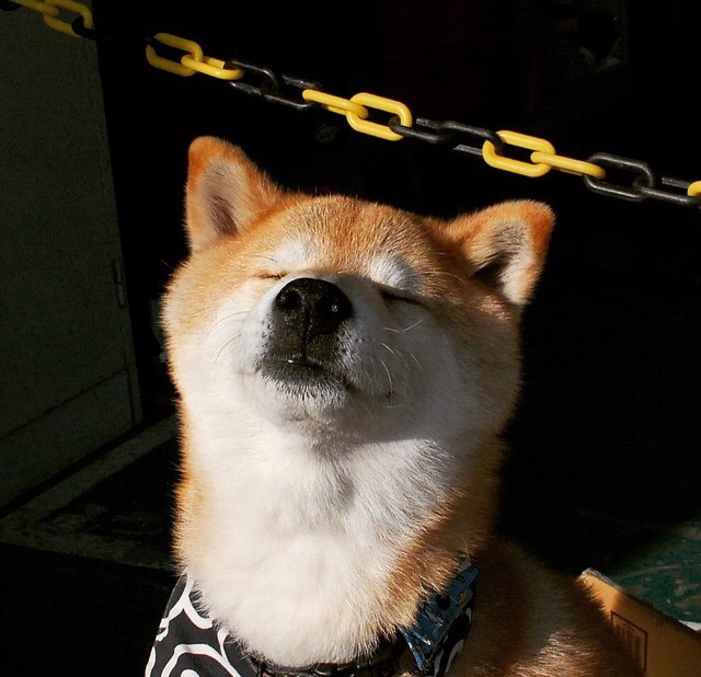 特色足球文化在国际科技展览中亮相,展示体育科技创新实力,足球技术展示