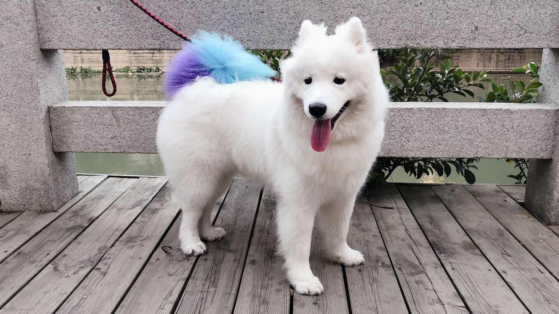 王楚钦再夺冠军乒乓球团体赛,王楚钦再夺冠军乒乓球团体赛赢了吗