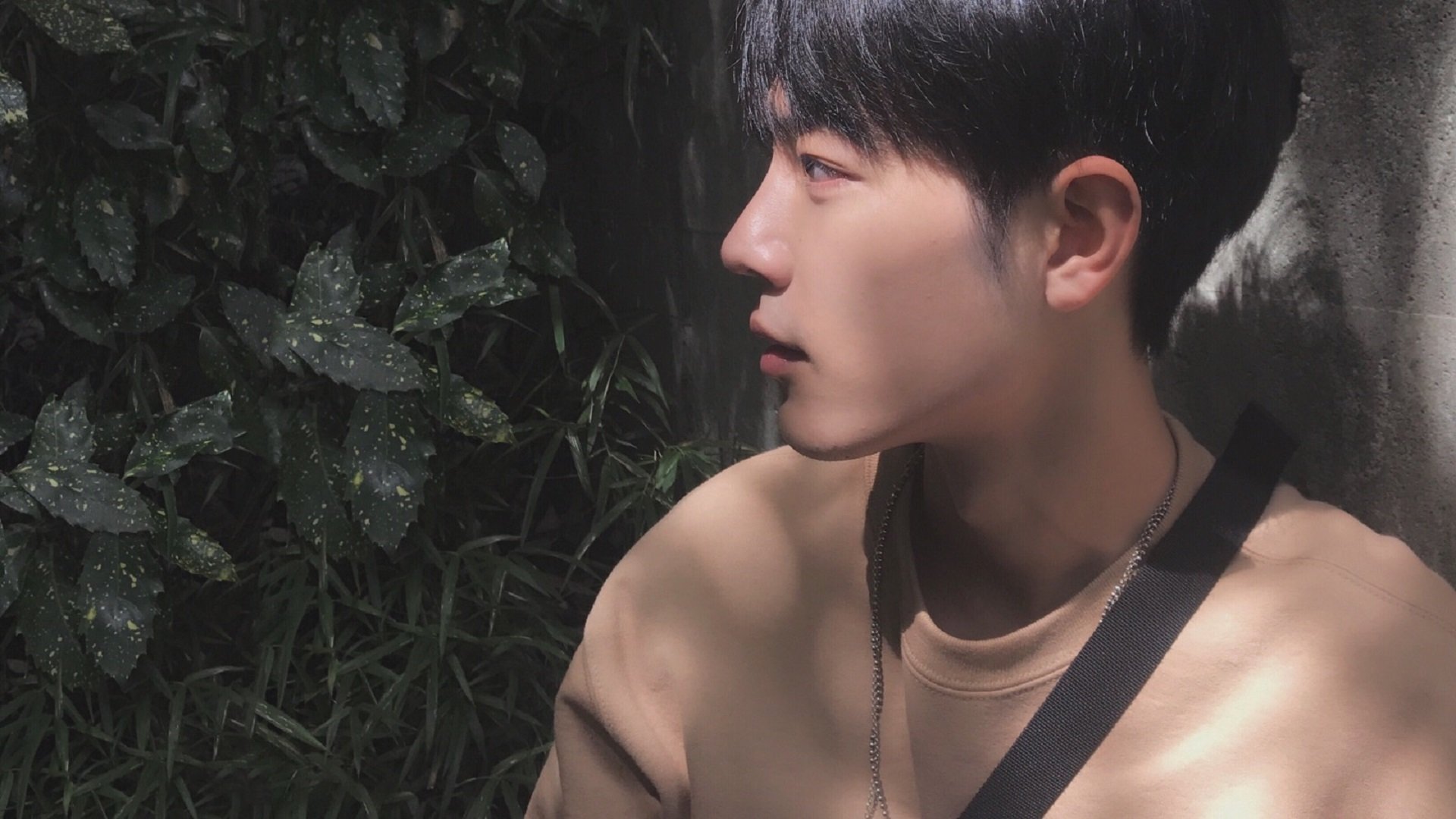 阿莱克西蝶泳决赛表现近乎零失误,阿莱克西亚唱的歌