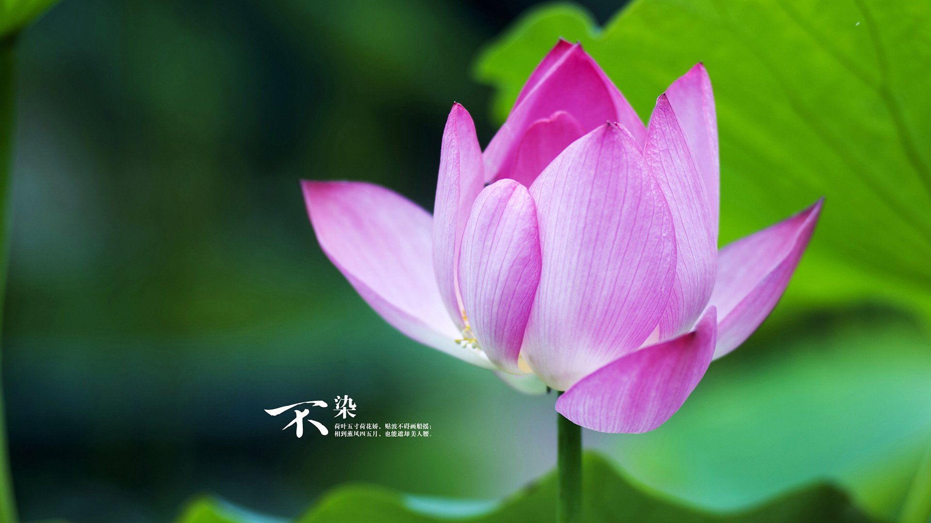 青年球员选拔注重品行教育加强价值观塑造